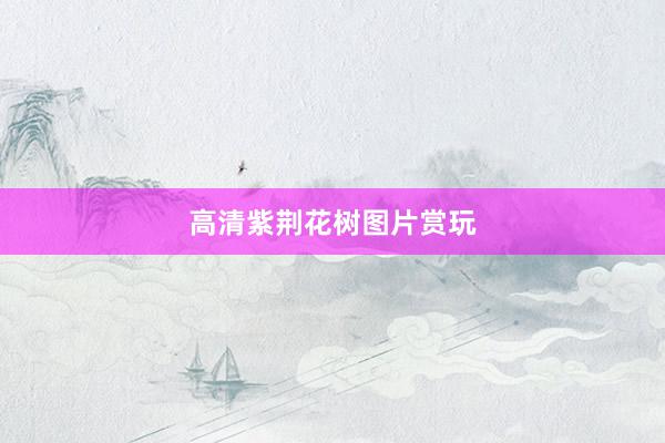 高清紫荆花树图片赏玩