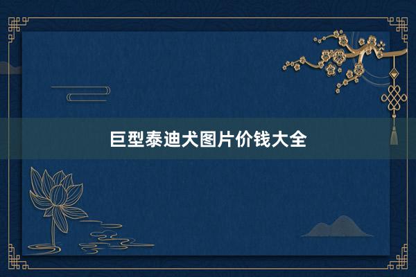 巨型泰迪犬图片价钱大全